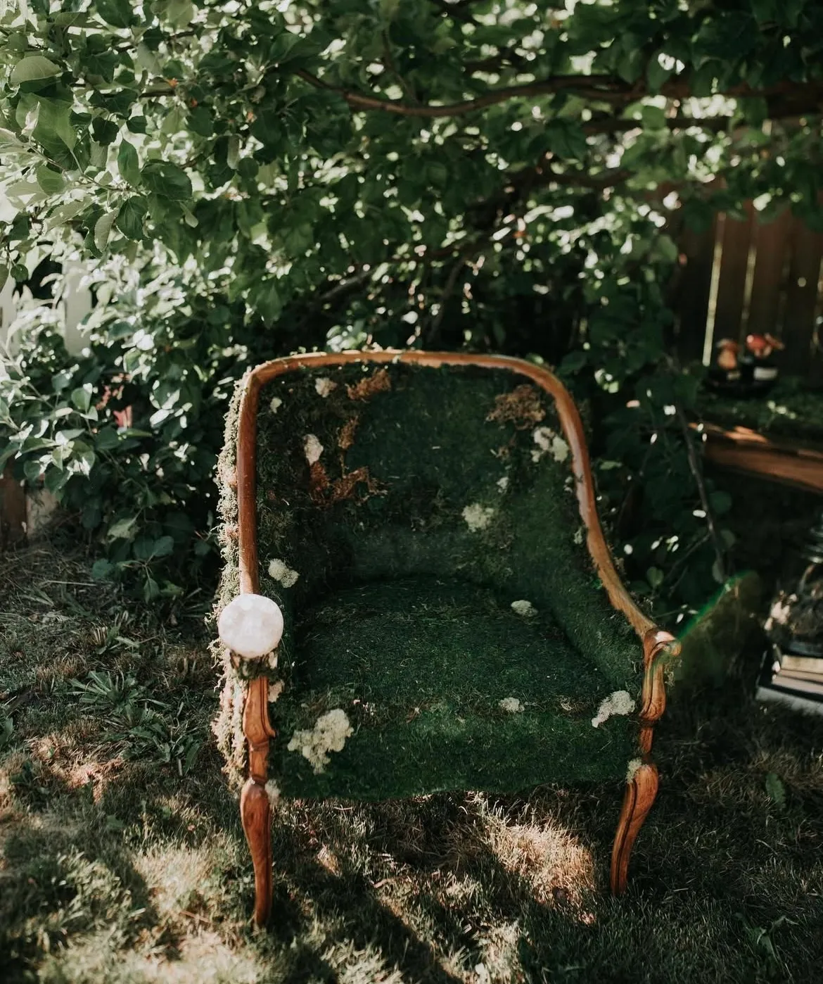 Moss Throne