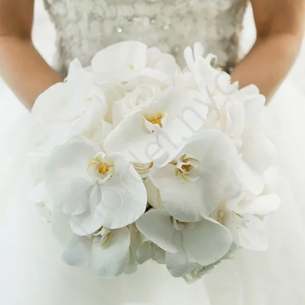 Basic Package for Wedding