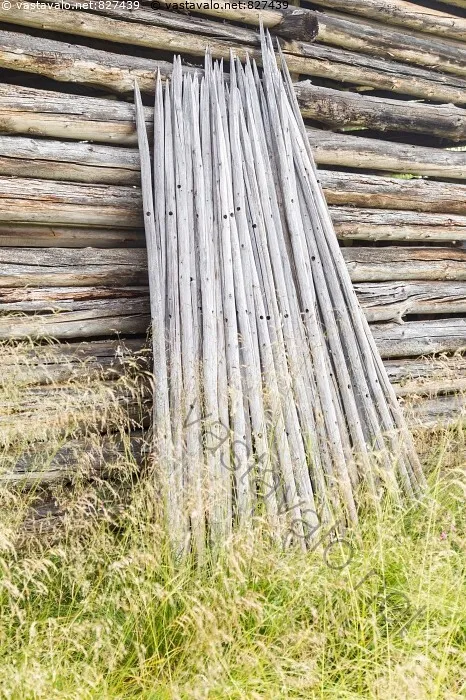 Heinäseiväs