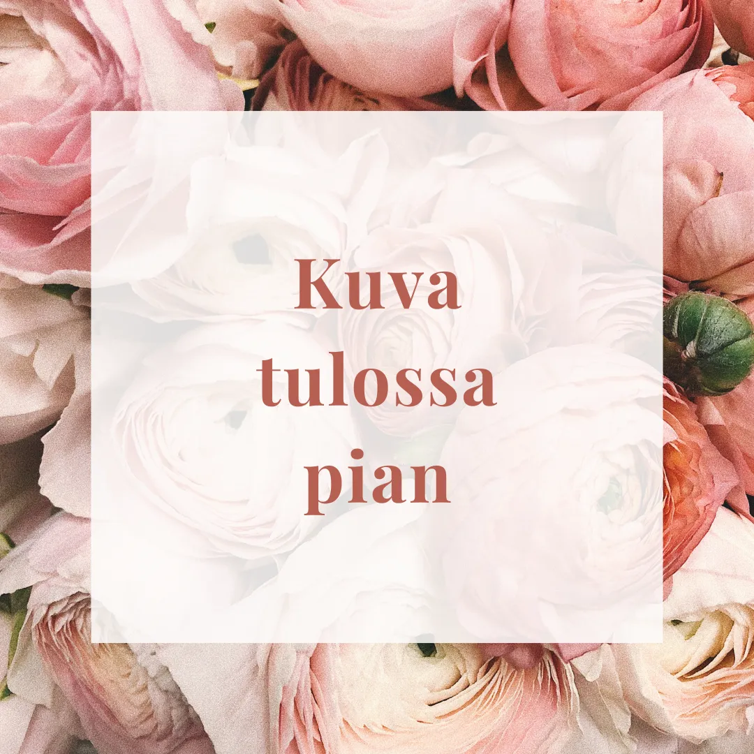 Ruska maljakko, ruskea