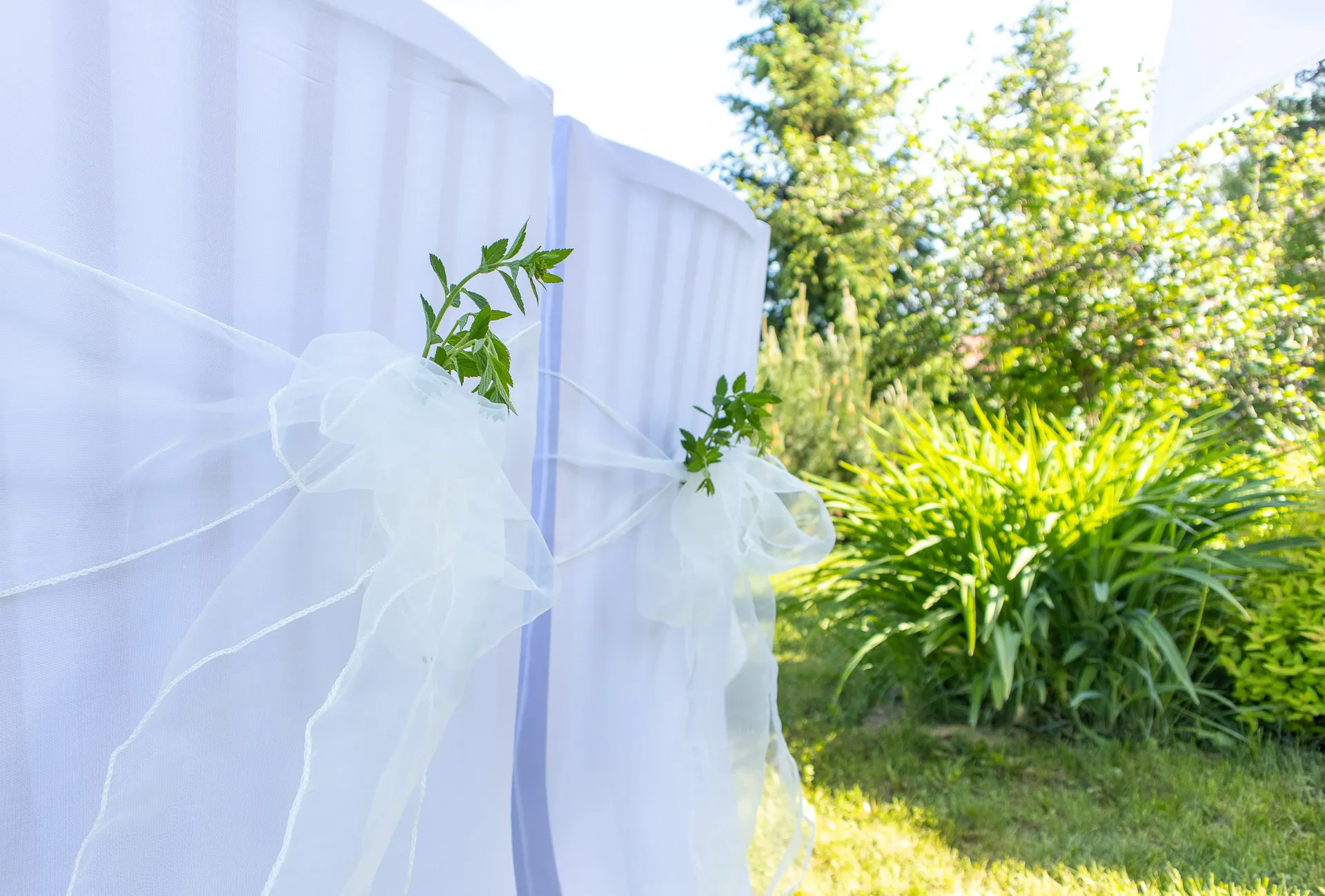 Tuolirusetti, organza