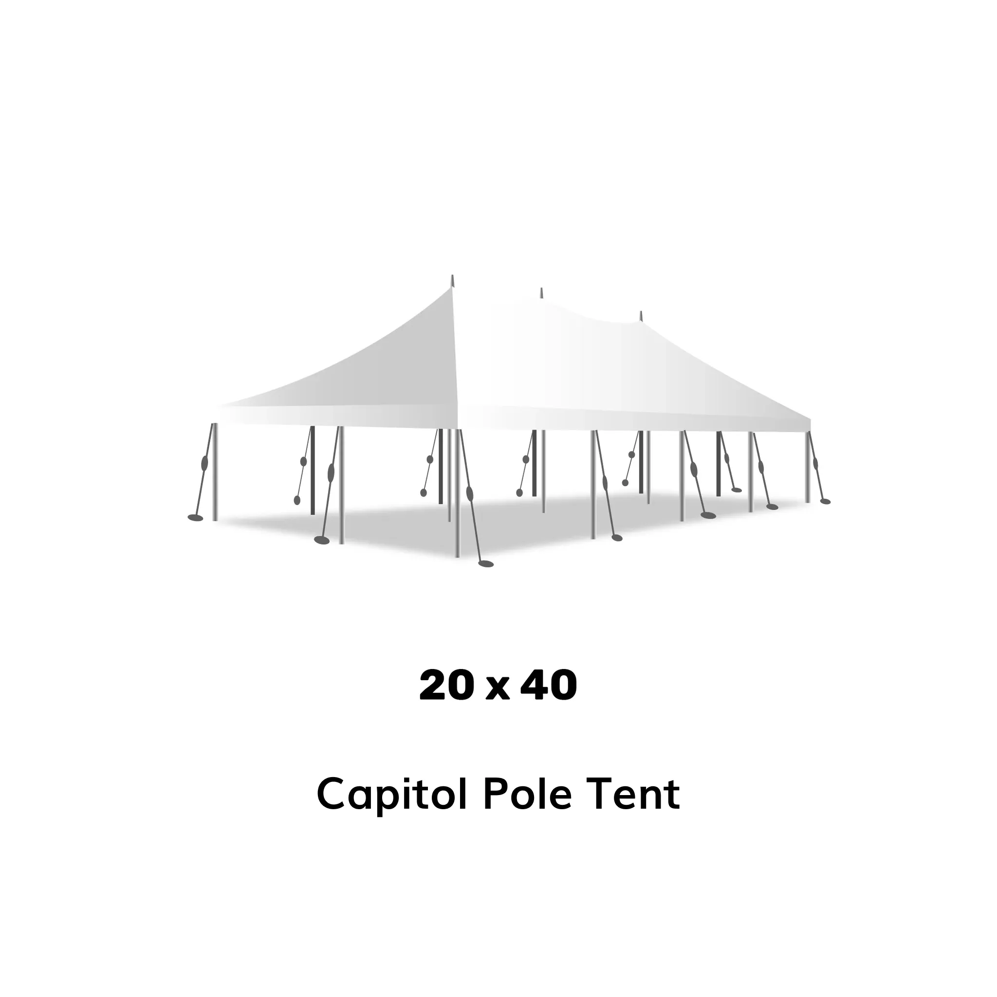 TENT 20x40 