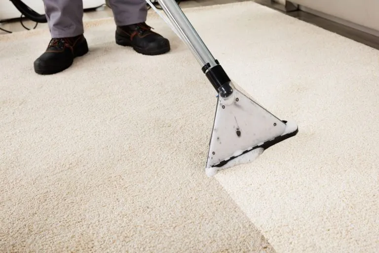 carpet cleaning