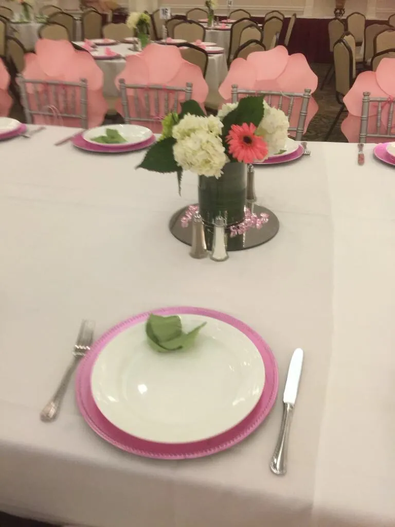 Salmon Pink Chargers