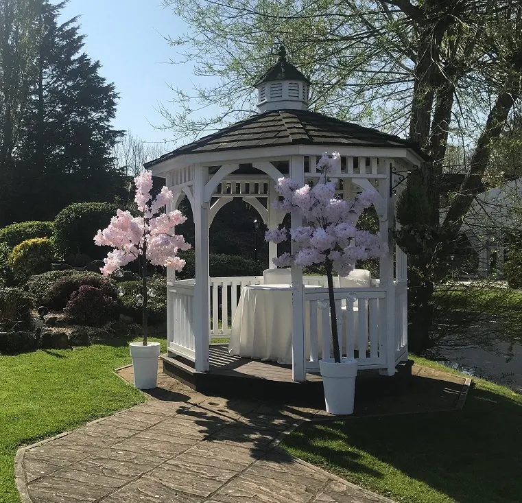  Large Pink Cherry Bloosom Tree Hire