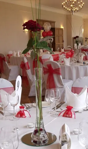 60cm Tall Narrow Lily Vase Hire