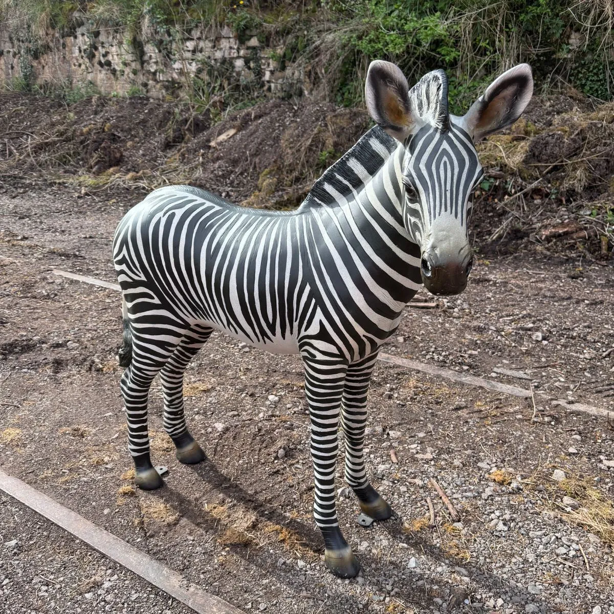 Jungle Zebra Statue For Hire