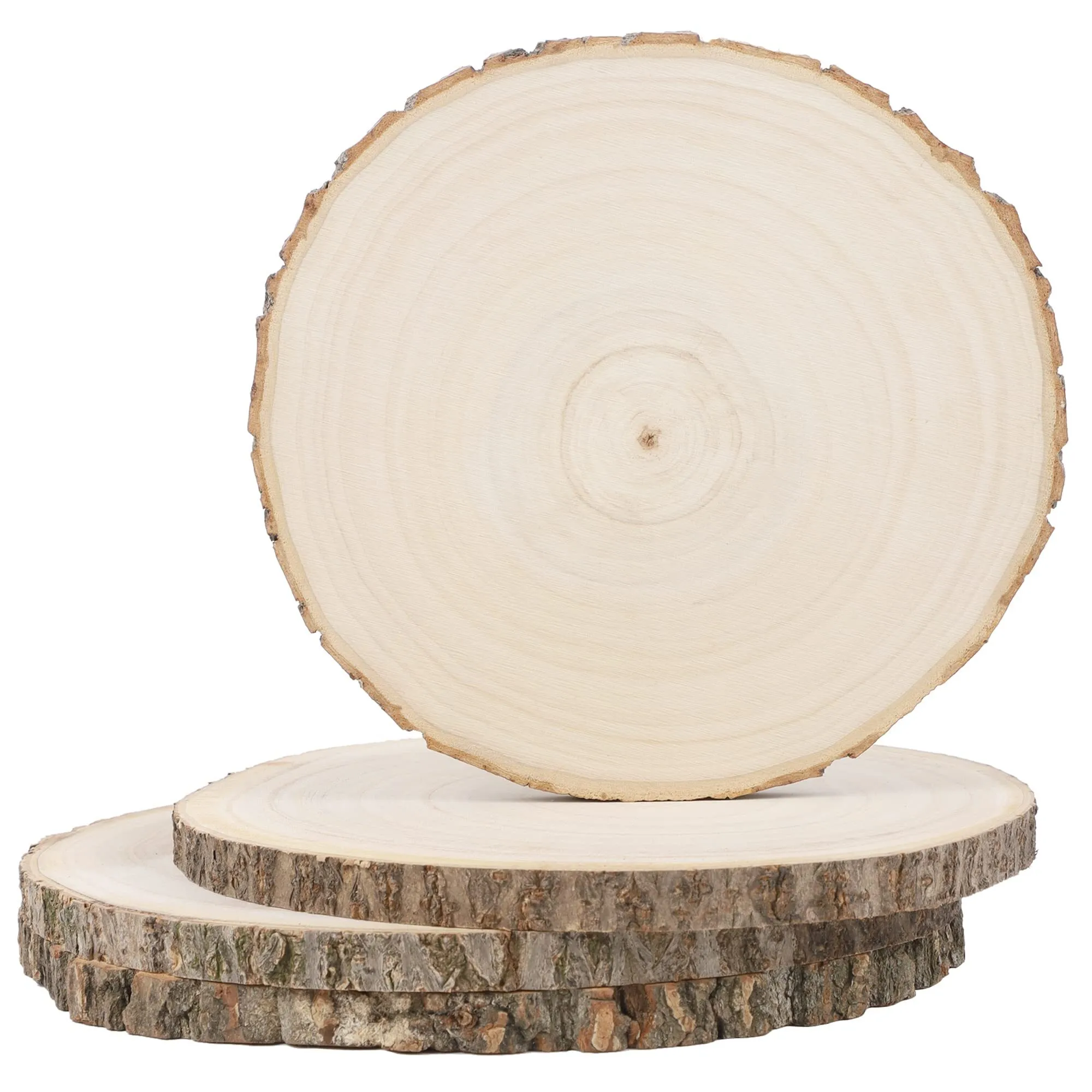 12" Wood Slice
