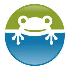 Little Frog