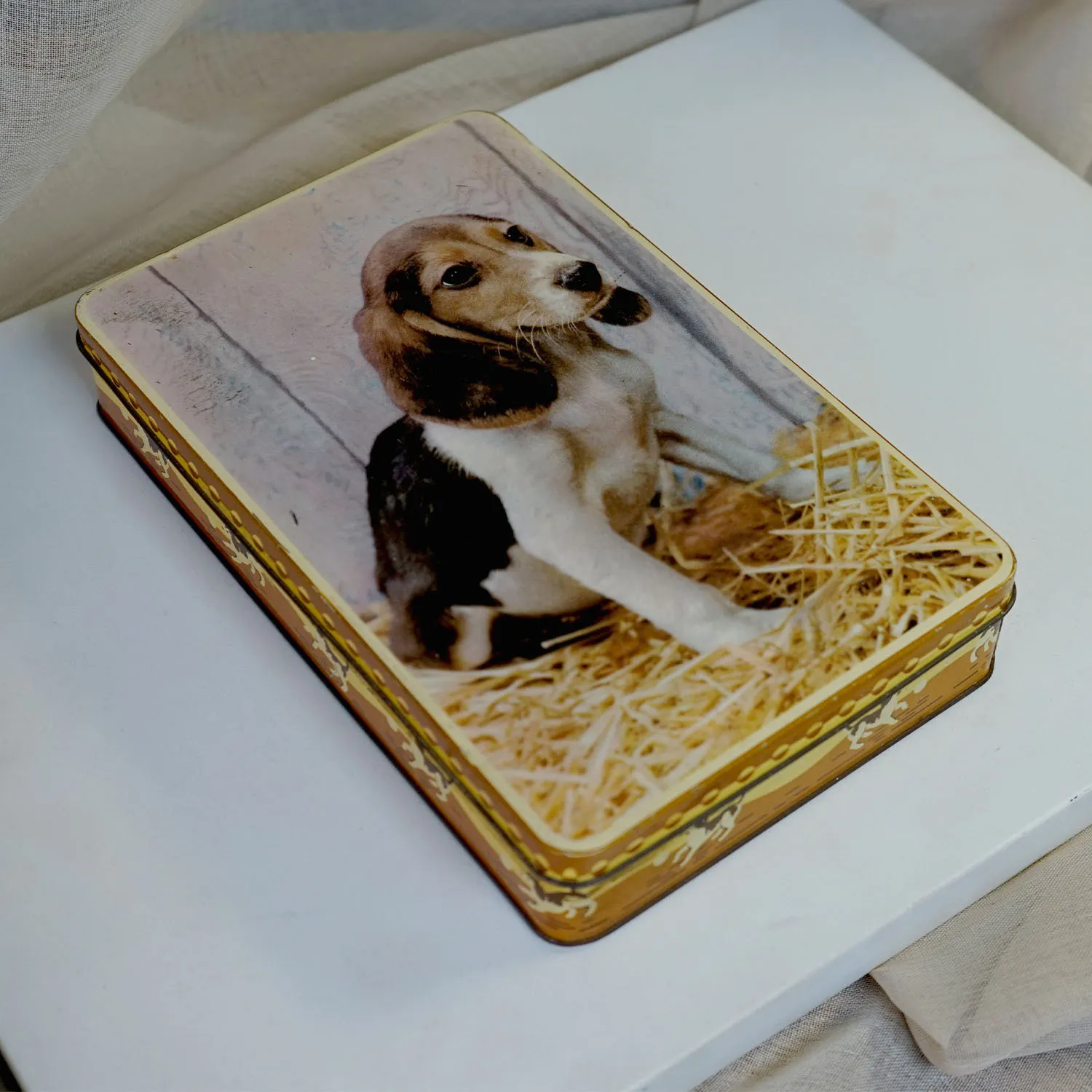 Vintage Puppy Tin