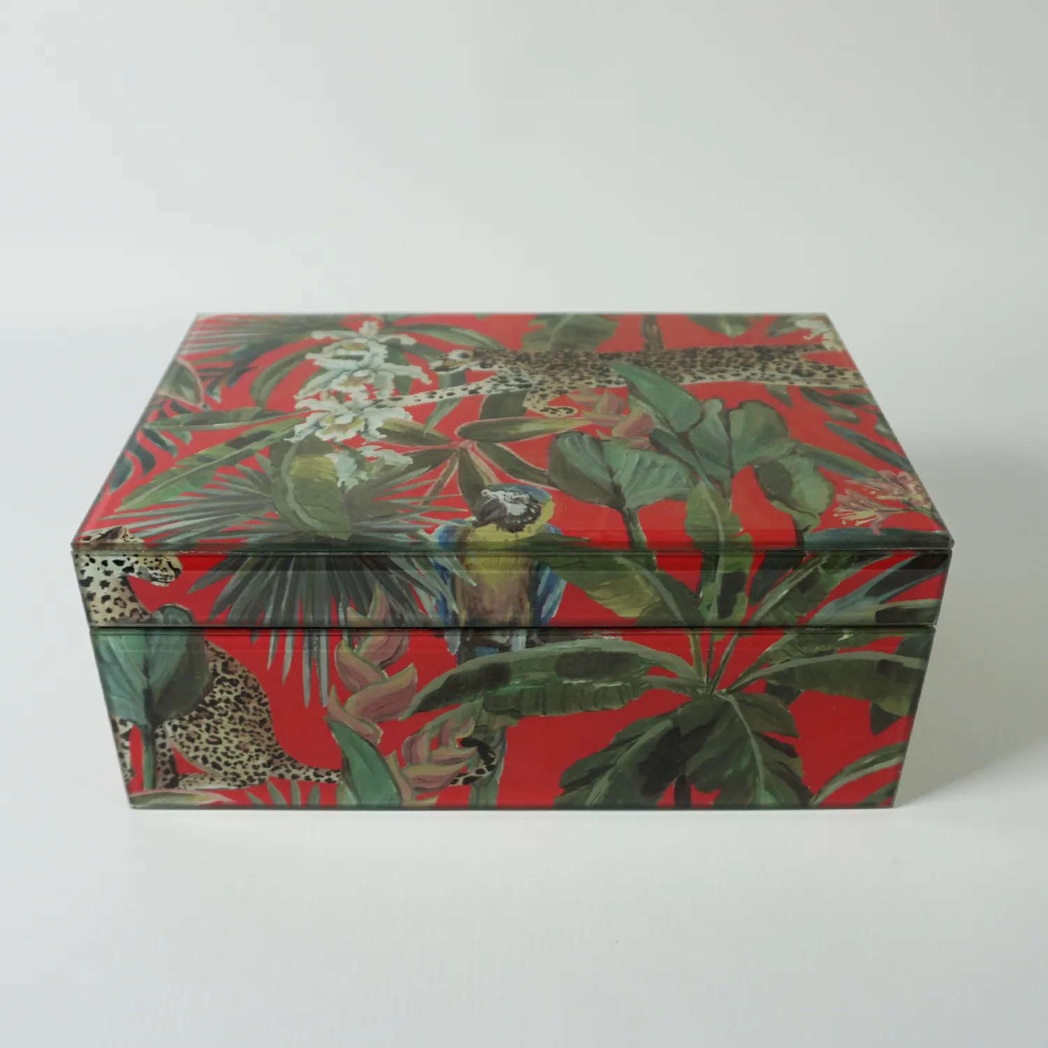 Jungle Box