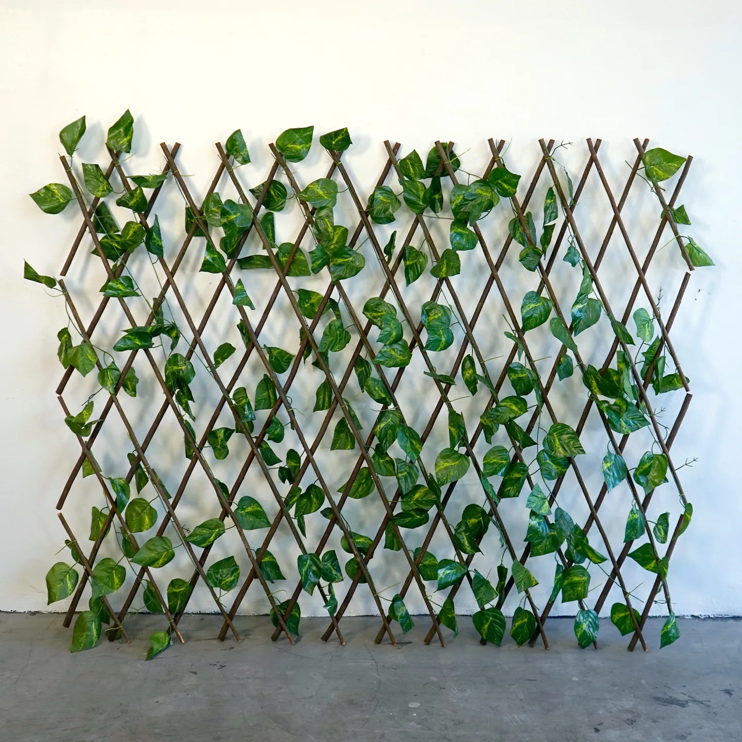 Trellis - Small