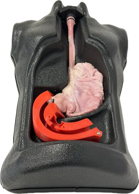 ESD/EMR Specimen 