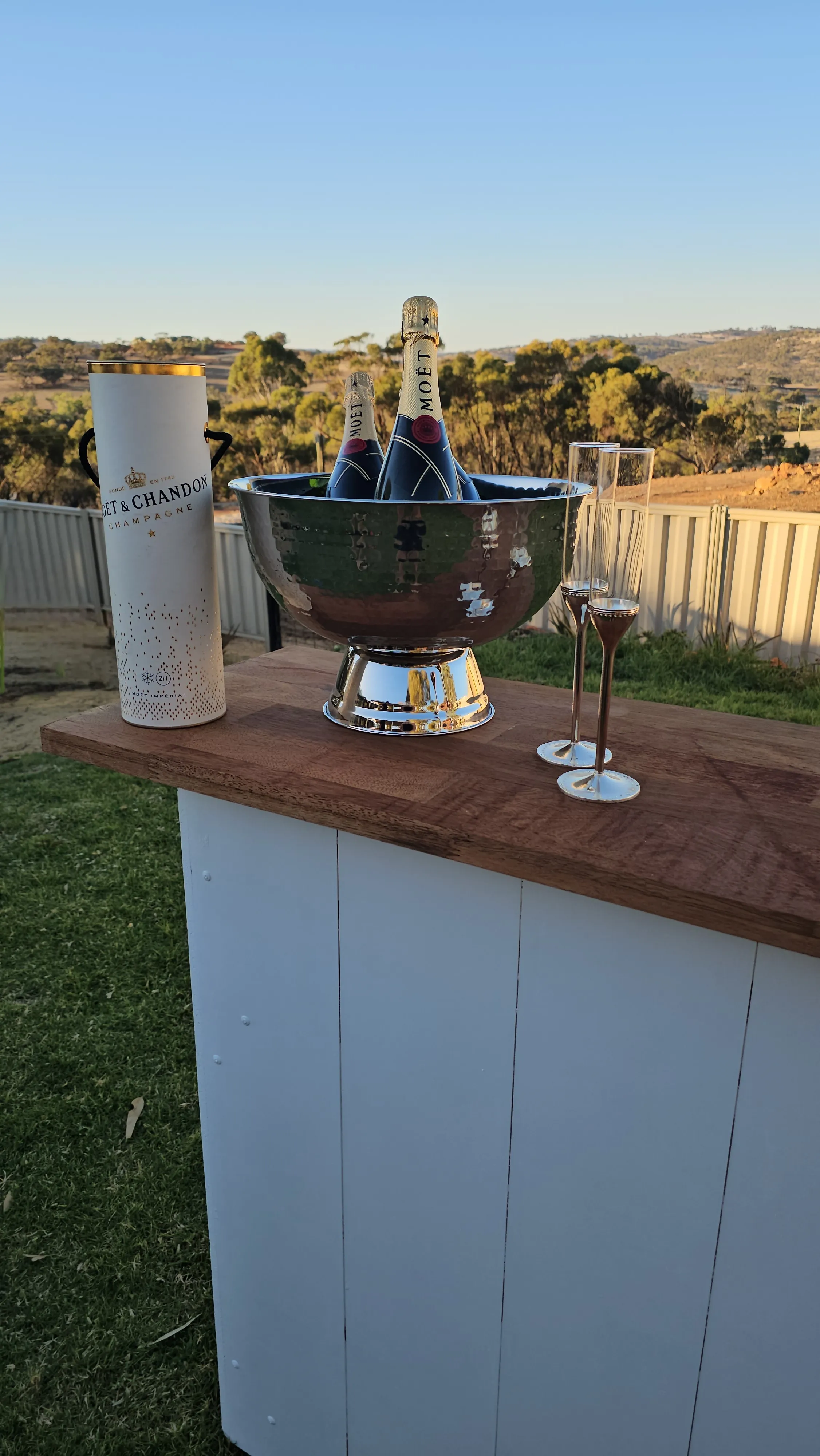 Silver Champagne Bowl Hire