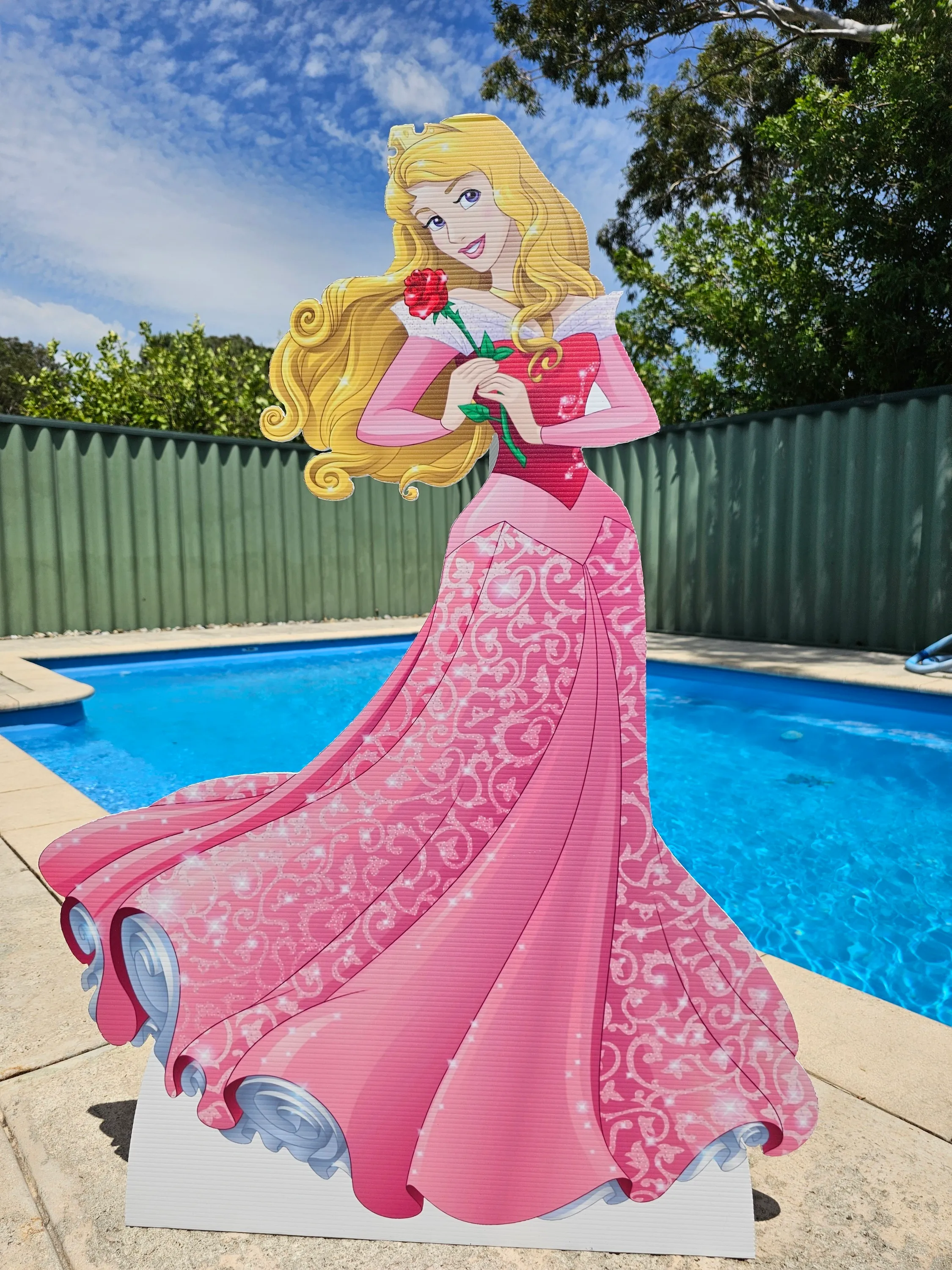 Aurora Cut Out Hire
