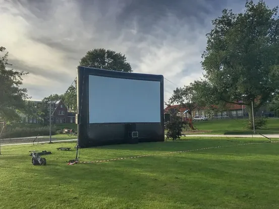 Movie in the Park Package