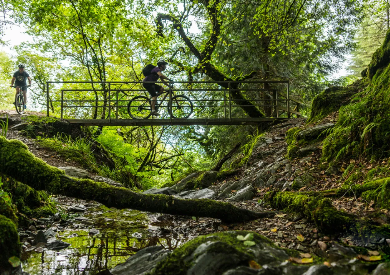 trailriders-ballyhouras-mountain-bike-rental-trails