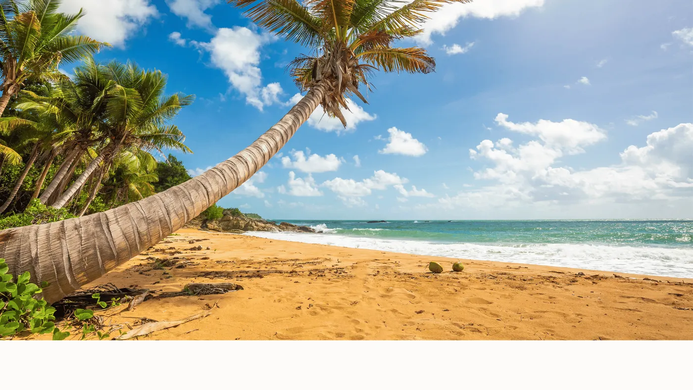 Scooter Rental Puerto Rico