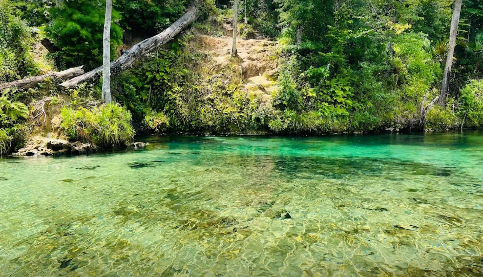 Econfina Creek Canoe Rentals