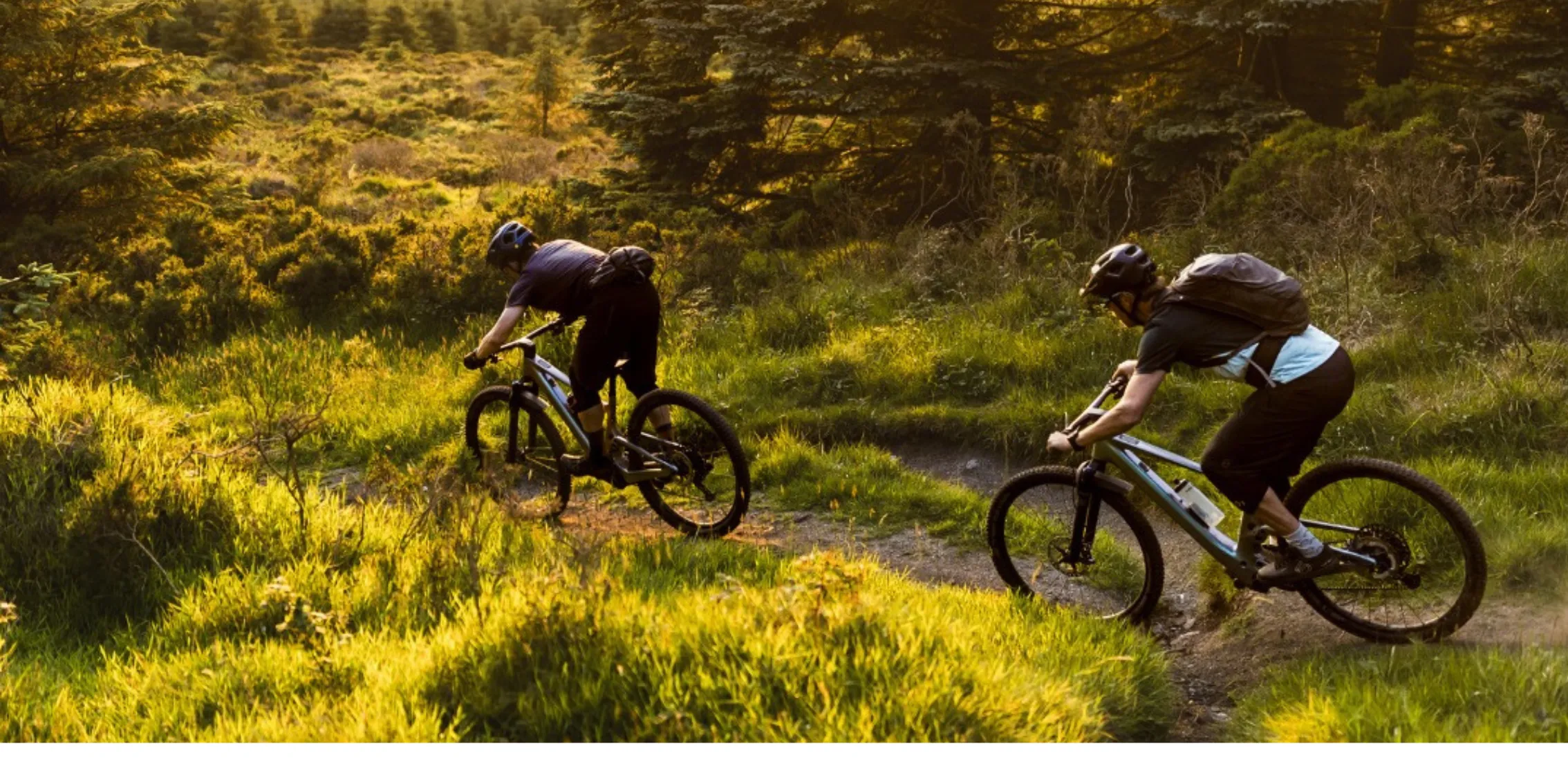 trailriders-ballyhouras-mountain-bike-rental-trails