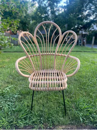 Chairs Ivory Elm Rentals