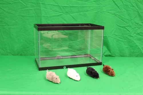 Aquarium