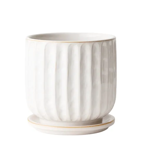 Clovelly w/saucer white pot