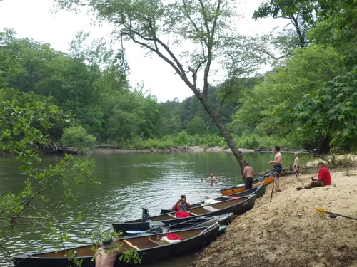 Half Day Kayak Tour