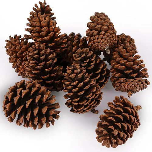 Decorative Pinecones