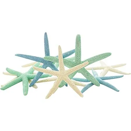 Starfish Decor