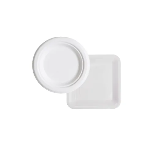 Disposable Plates
