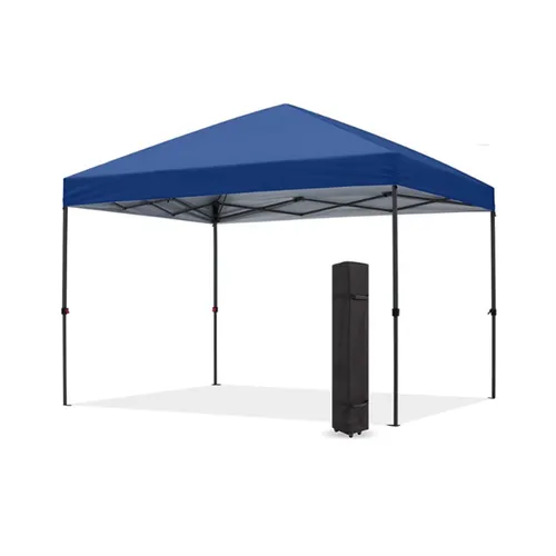 Instant canopy 10x10 online