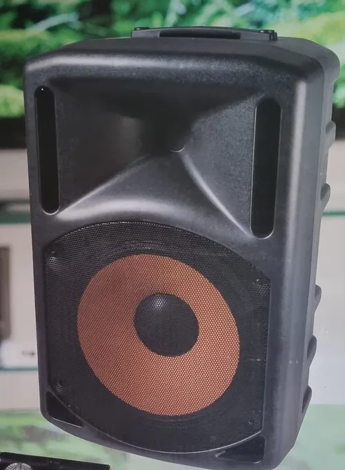 Digitech 15 inch PA System CS 2491