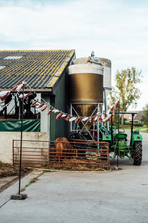 Zwarte palen - met bevestigingsring