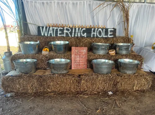 Sugar cane watering hole bar