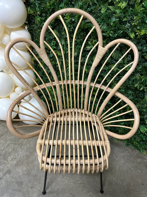 Avocet rattan hotsell fan back chair