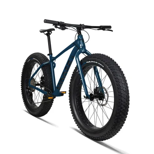 Fat Bike