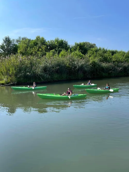 Kayak
