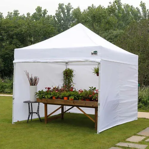 10x10 Canopy Tent