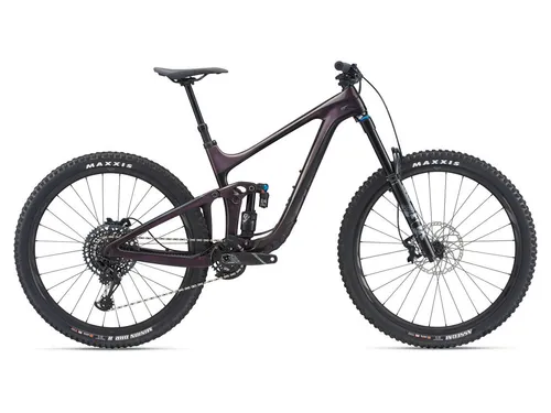 Giant Reign AP29 1