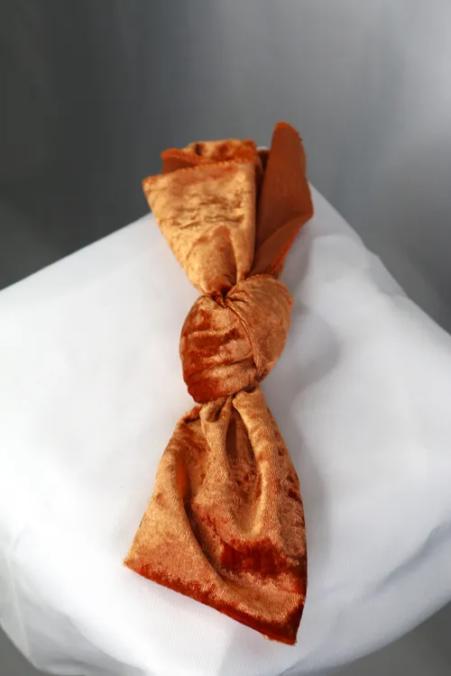 Terracotta Velvet Napkin