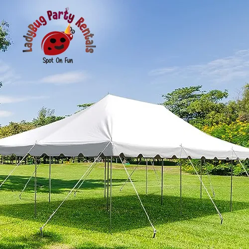 20 x 30 Canopy Pole Tent