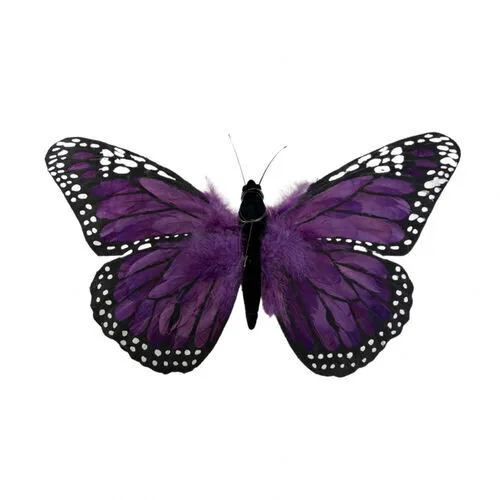 BB17 - Animals - Butterfly - 26