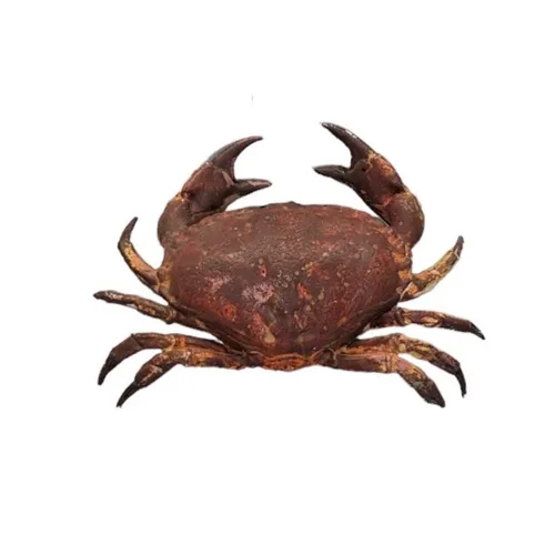 Animals - Crab - Various Sizes - Rust