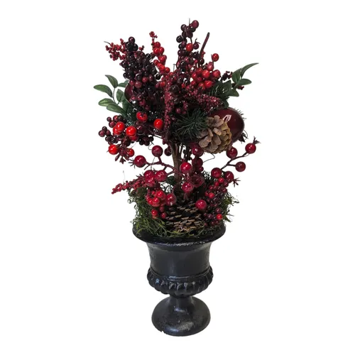 Smalls - Winterberry in Black Planter - 7