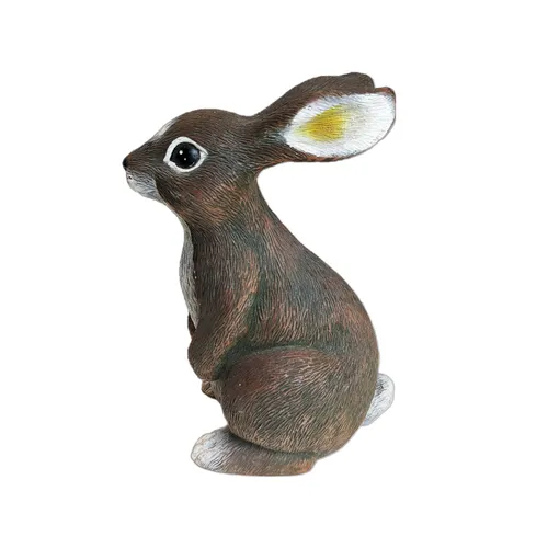 Animals - Rabbit - 9