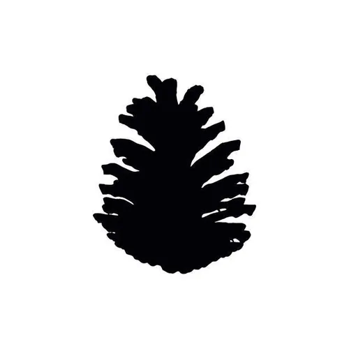 Pinecones - Black - Small to Medium - Painted from Natural
