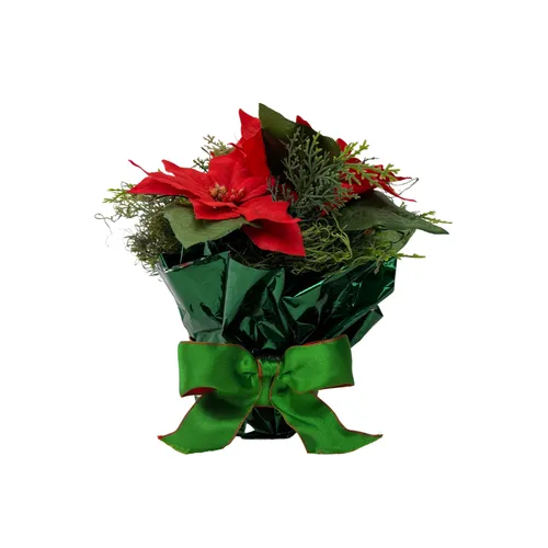 Smalls - Poinsettia - 10.5