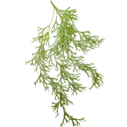 G93 - Greenery - Staghorn - 30