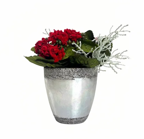 Smalls - Foliage - 7.5